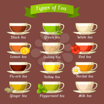 Types of tea. Set of glass cups with different tastes and ingredients.