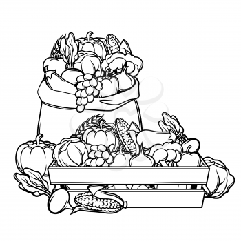 Harvest illustration with seasonal fruits and vegetables.