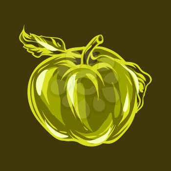 Illustration of green apple. Stylized hand drawn fruit.