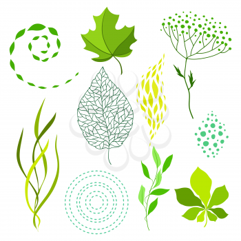 Set of various stylized green leaves and elements. Nature illustration.