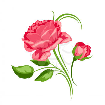 Decorative element with red roses. Beautiful flowers, buds and leaves.