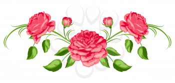 Decorative element with red roses. Beautiful flowers, buds and leaves.