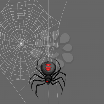 Background with black widow spider. Banner for Halloween holiday.