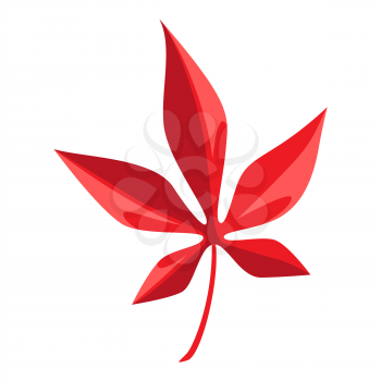Cartoon illustration of red maple leaf. Autumn plant.