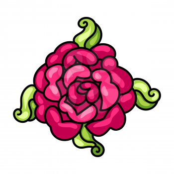 Illustration of decorative rose. Ornamental pink flower.