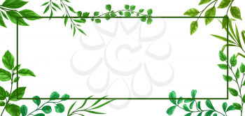 Frame of sprigs with green leaves. Decorative natural plants.