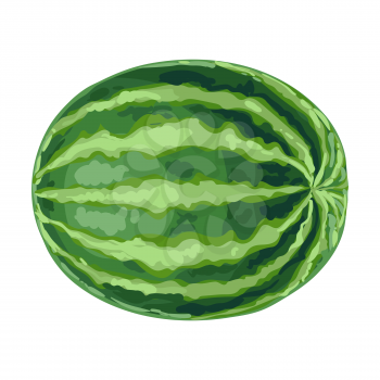Illustration of ripe watermelon. Summer fruit in decorative style.