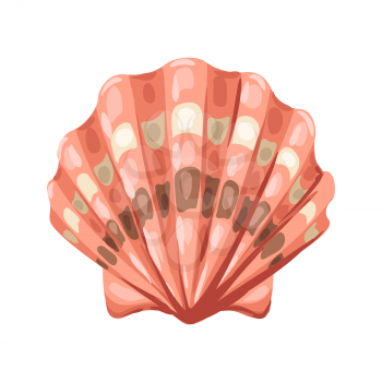 Illustration of seashell. Tropical underwater decorative mollusk shell.