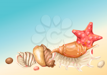 Background with seashells. Tropical underwater mollusk shells decorative illustration.