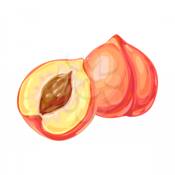 Illustration of ripe peach and slice. Summer fruit in decorative style.