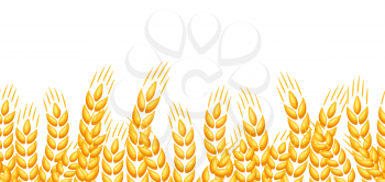 Seamless pattern with wheat. Agricultural image natural golden ears of barley or rye.