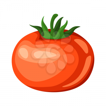 Illustration of red ripe tomato. Agricultural farm item. Isolated vegetable.