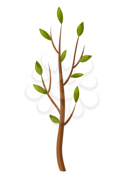 Illustration of young tree in spring. Season gardening image.