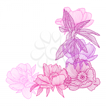Decorative element with linear peonies. Beautiful decorative stylized summer flowers.