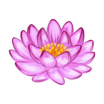 Illustration of lotus flower. Water lily decorative image. Natural tropical plants.