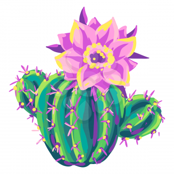Illustration of cactus. Decorative spiky mexican cacti. Natural image.