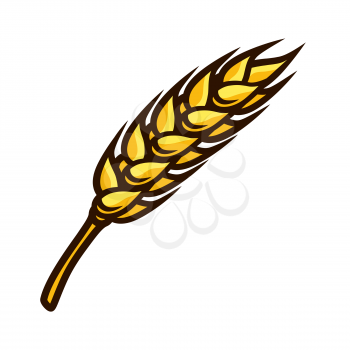 Illustration of fresh ripe wheat ear. Autumn harvest of vegetables. Food item for farms, markets and shops. Icon or promotional image.