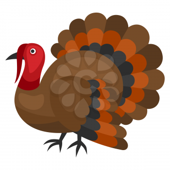 Happy Thanksgiving illustration of turkey. Autumn seasonal holiday bird.