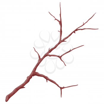 Illustration of stylized bare branch without leaves. Decorative plant. Twig for decoration.