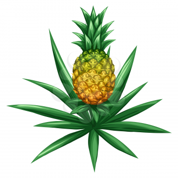Stylized illustration of pineapple. Image for design and decoration. Object or icon in hand drawn style.