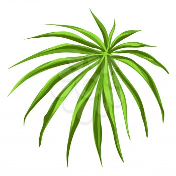 Stylized illustration of palm branch. Image for design and decoration. Object or icon in hand drawn style.