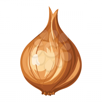 Stylized illustration of onion. Image for design and decoration. Object or icon in hand drawn style.