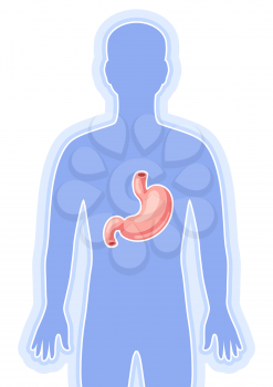 Illustration with stomach internal organ. Human body anatomy. Health care and medical education image.