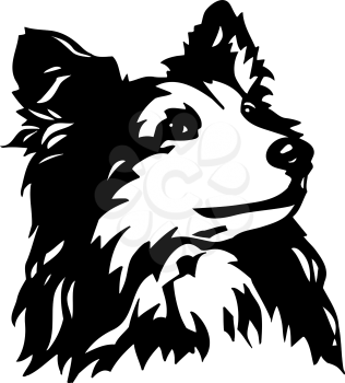 Canines Clipart