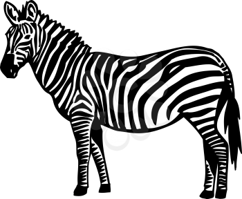 Animals Clipart