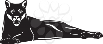 Cougar Clipart