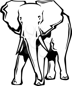 Tusks Clipart