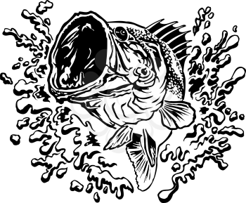 Largemouth Clipart