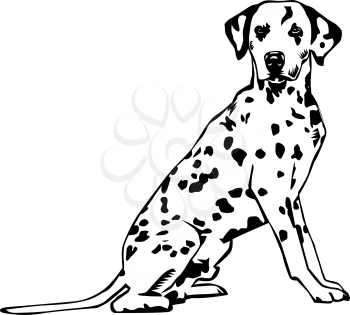 Canine Clipart