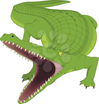 Crocodiles Clipart