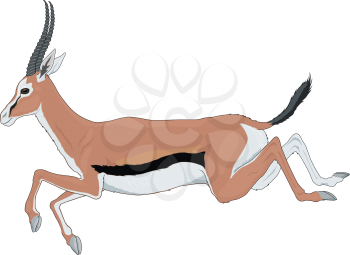 Gazelles Clipart