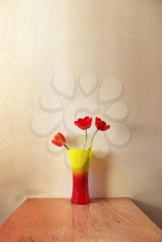 Three tulip in vase. Decoration in room.