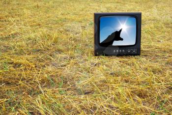 Old television set stand on hay. Conceptual design. 