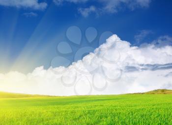 Plain and blue sky. Nature composition.