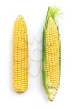 Isolated corn. Element of design.