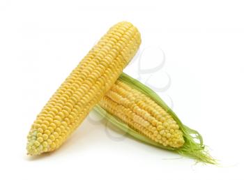 Isolated corn. Element of design.