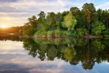 River and spring forest. Nature composition. 