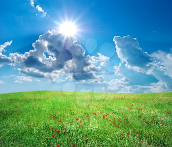 Green meadow in mountain. Nature composition.