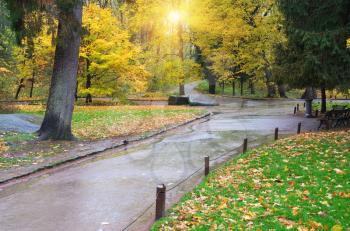 Autumn landscape. Composition of nature.