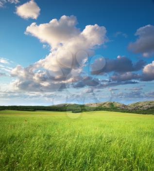 Green meadow in mountain. Composition of nature.