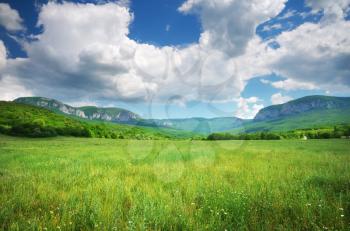 Green meadow in mountain. Composition of nature.