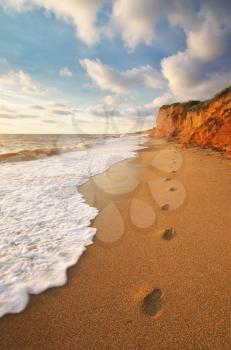 Traces on th sea shore. Nature composition.