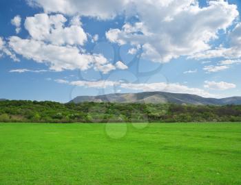 Green meadow in mountain. Composition of nature.