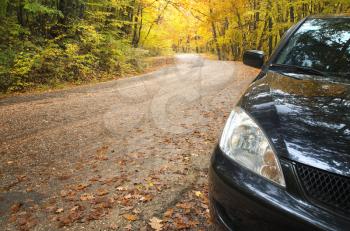 Car and road in autumn forest. 
