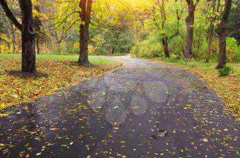 Autumn landscape. Composition of nature. Path in park.