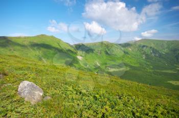 Mountain landscape. Composition of nature.